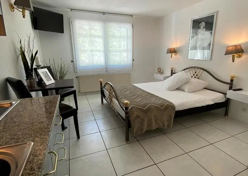 ガーデンビューのスタンダードワンルーム, Apart Hôtel Pont De Thielle