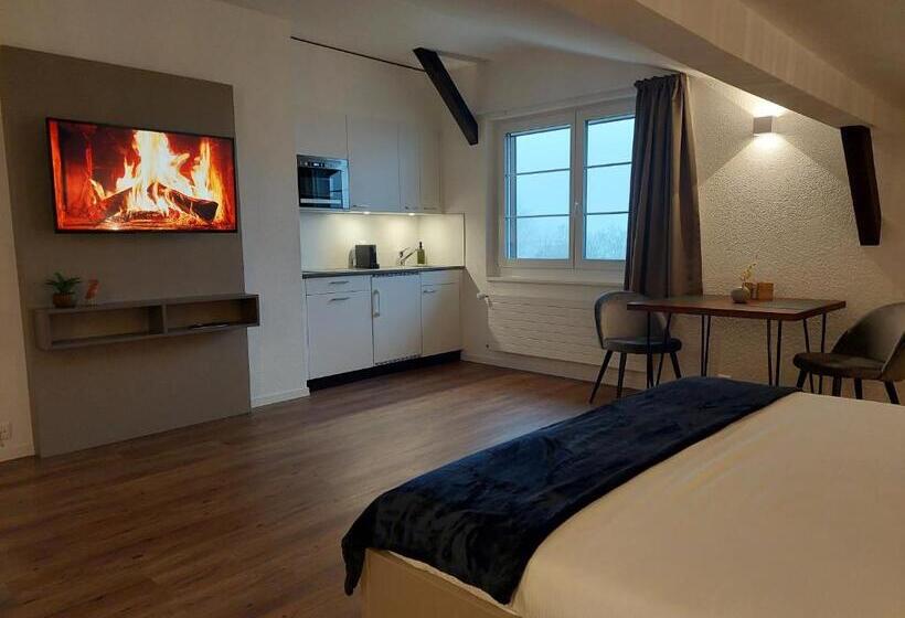Студия Deluxe, Apart Hôtel Pont De Thielle