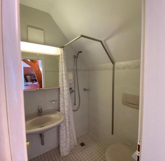 חדר סטודיו סטנדרד, Apart Hôtel Pont De Thielle