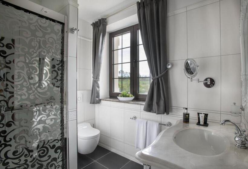 带大床的标准间, Château šanov