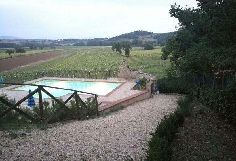 스탠다드 룸, Camera Matrimonialedoppia Con Balcone Vista Piscina