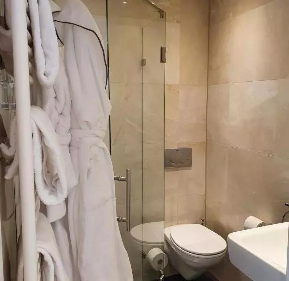 クラシックルーム, Badhotel Bruin