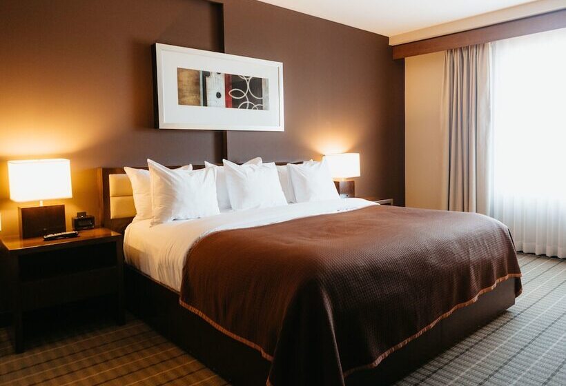 豪华套房, Casino New Nouveau Brunswick