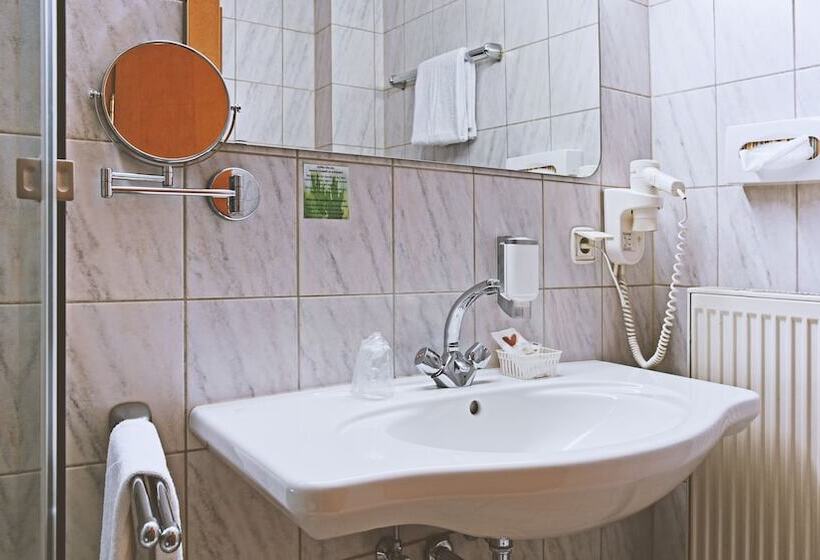 标准单人间, Goldinger