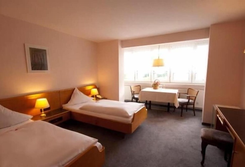 标准三人间, Goldinger