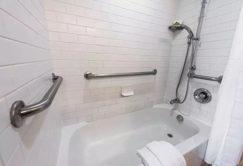 身障者適用ダブルベッド付きスタンダードルーム, Hilton Baton Rouge Capitol Center