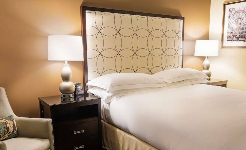 Номер Стандарт Двуспальная Кровать Адаптированный для Инвалидов, Hilton Baton Rouge Capitol Center