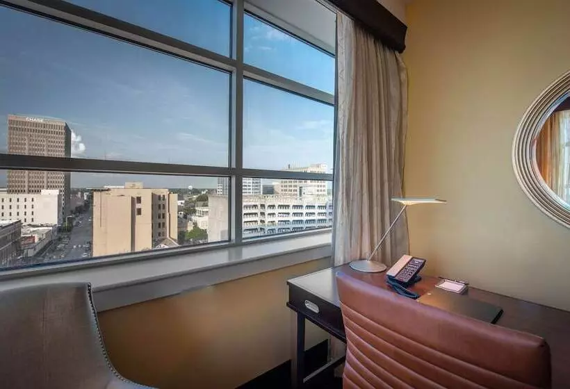 身障者適用ダブルベッド付きスタンダードルーム, Hilton Baton Rouge Capitol Center
