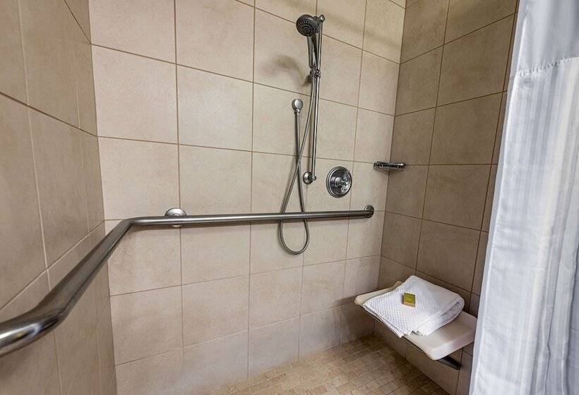 اتاق استاندارد با تخت دوبل برای معلولان, Hilton Baton Rouge Capitol Center