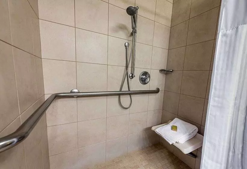 身障者適用ダブルベッド付きスタンダードルーム, Hilton Baton Rouge Capitol Center