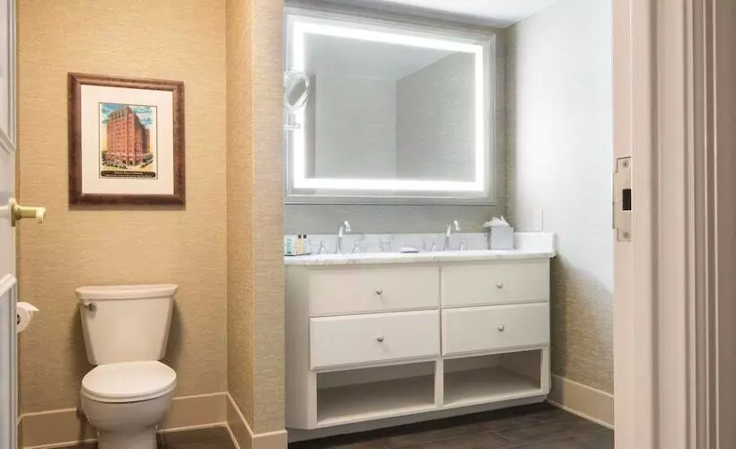 身障者適用ダブルベッド付きスタンダードルーム, Hilton Baton Rouge Capitol Center
