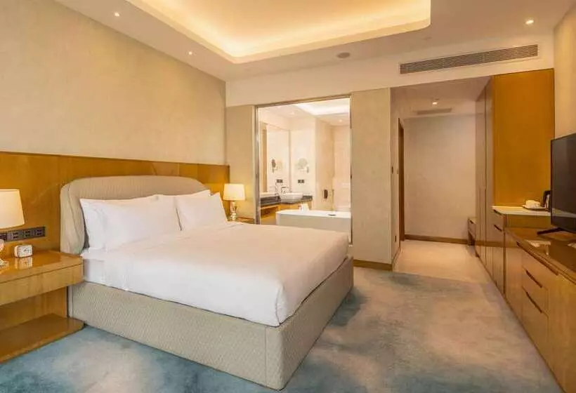 اتاق استاندارد با چشم‌انداز رودخانه, Hilton Baton Rouge Capitol Center