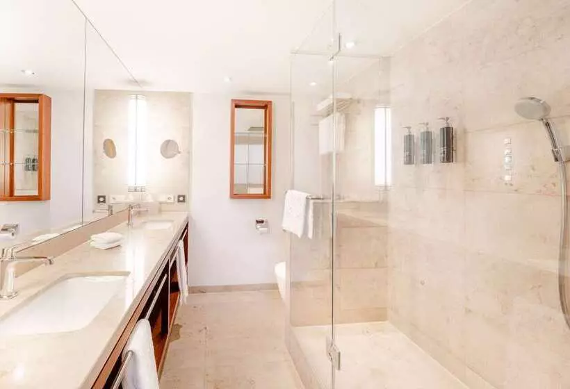 اتاق استاندارد با چشم‌انداز رودخانه, Hilton Baton Rouge Capitol Center