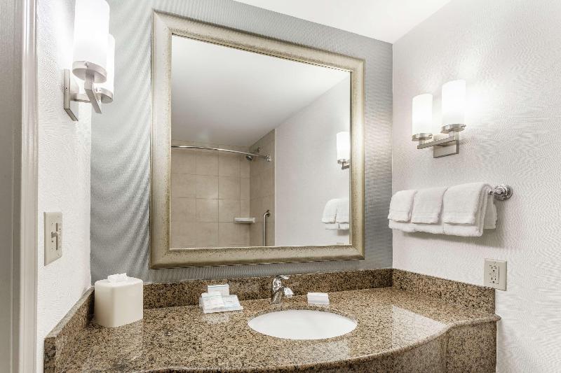 스탠다드 룸 킹사이즈 침대, Hilton Garden Inn Albany/suny Area