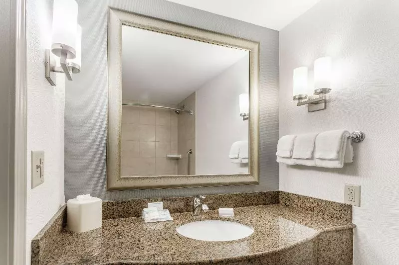 اتاق استاندارد با تخت بزرگ, Hilton Garden Inn Albany/suny Area