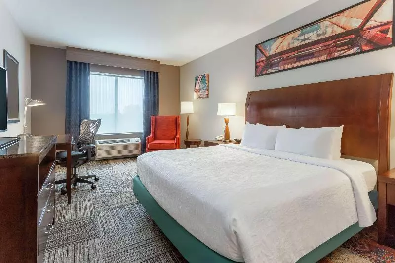 اتاق استاندارد با تخت بزرگ, Hilton Garden Inn Albany/suny Area