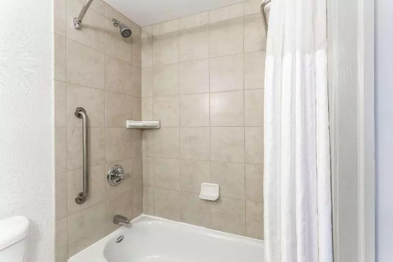 اتاق استاندارد با تخت بزرگ, Hilton Garden Inn Albany/suny Area