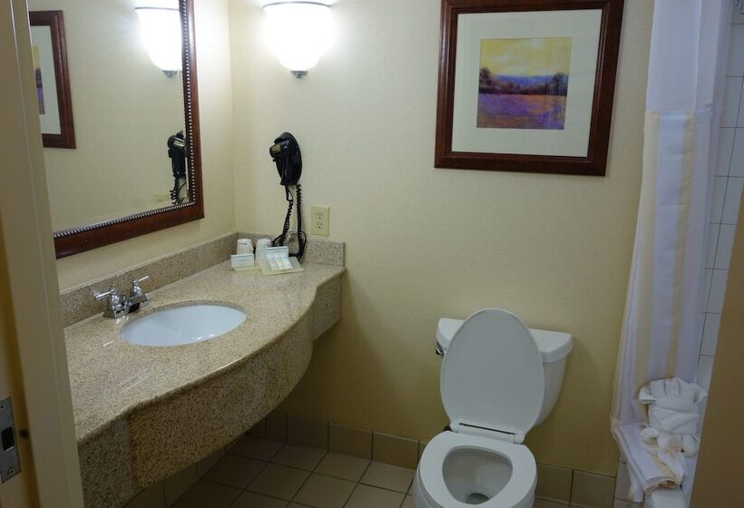 غرفة قياسية, Hilton Garden Inn Atlanta East/stonecrest