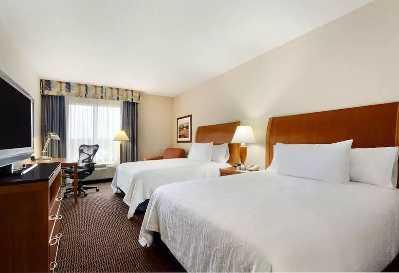 スタンダードルーム, Hilton Garden Inn Atlanta East/stonecrest
