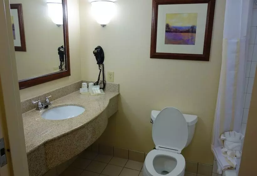 身障者適用スタンダードルーム, Hilton Garden Inn Atlanta East/stonecrest