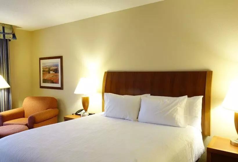 身障者適用スタンダードルーム, Hilton Garden Inn Atlanta East/stonecrest