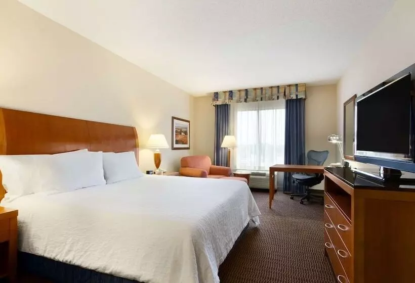 身障者適用スタンダードルーム, Hilton Garden Inn Atlanta East/stonecrest