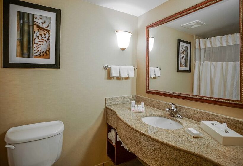جناح جونيور, Hilton Garden Inn Kankakee