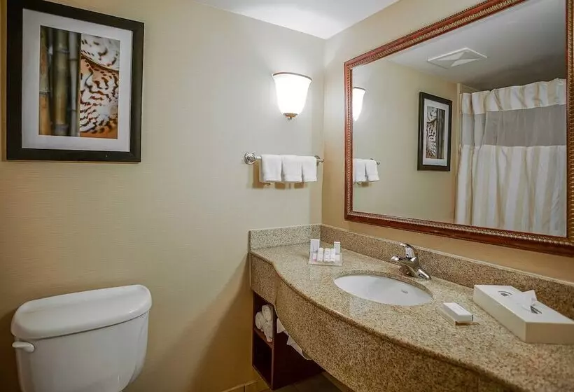 Standard-huone 2 Parivuodetta, Hilton Garden Inn Kankakee