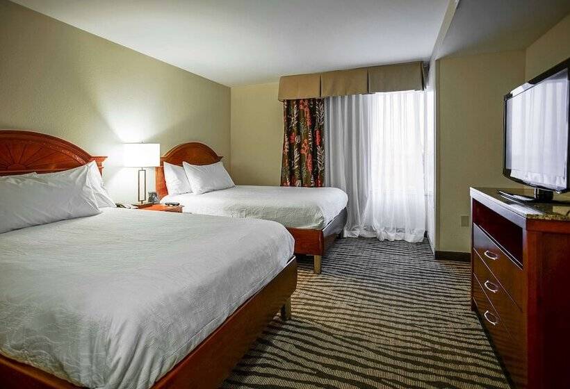 스탠다드 룸 더블 침대 2개, Hilton Garden Inn Kankakee