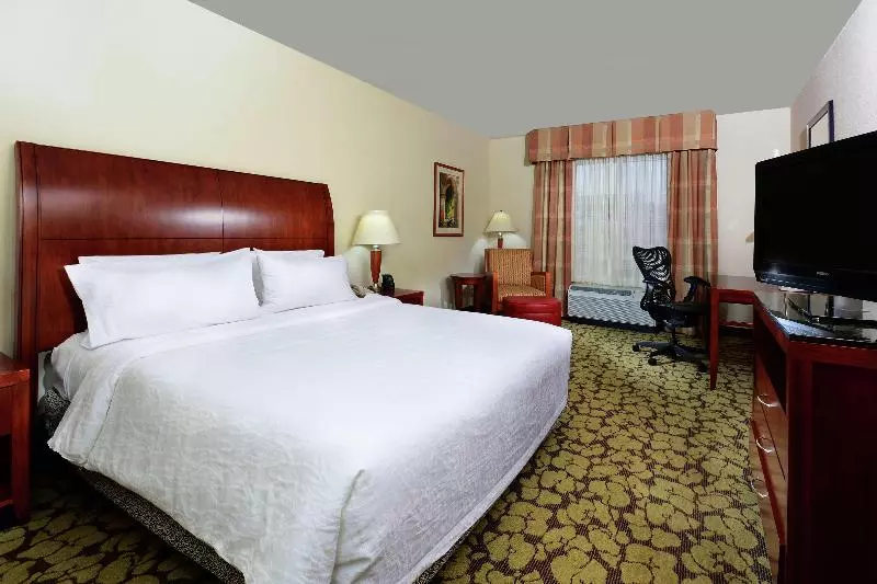 اتاق استاندارد با تخت بزرگ, Hilton Garden Inn Raleigh Capital Blvd I540
