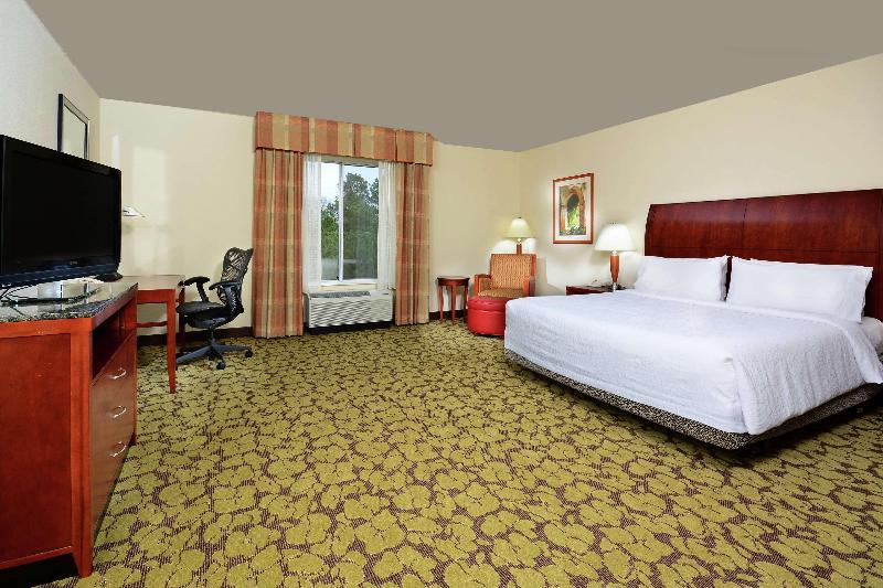 חדר סטנדרט עם מיטת קינג, Hilton Garden Inn Raleigh Capital Blvd I540