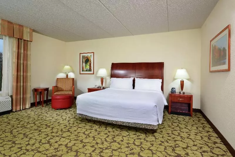 اتاق استاندارد با تخت بزرگ, Hilton Garden Inn Raleigh Capital Blvd I540