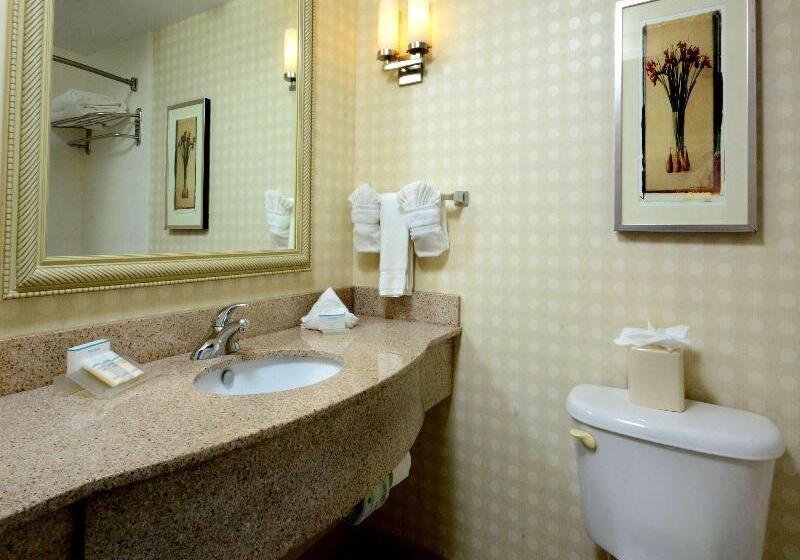 חדר סטנדרט עם מיטת קינג, Hilton Garden Inn Raleigh Capital Blvd I540