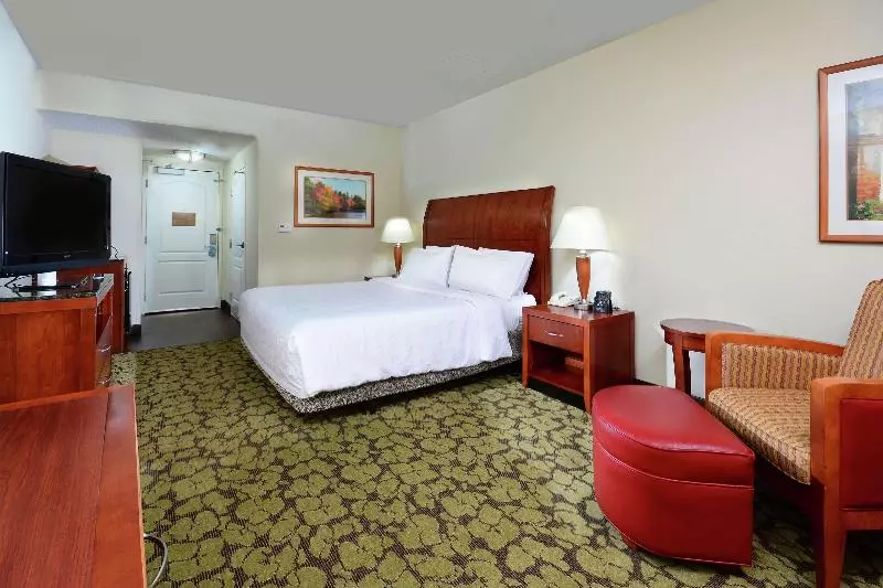 اتاق استاندارد با تخت بزرگ, Hilton Garden Inn Raleigh Capital Blvd I540