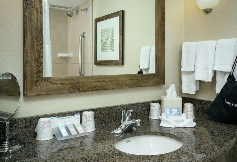 غرفة قياسية سرير مزدوج, Hilton Garden Inn Seattle  Issaquah