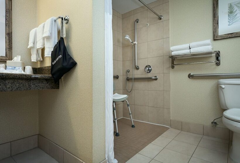 Номер Стандарт Адаптированный для Инвалидов, Hilton Garden Inn Seattle  Issaquah