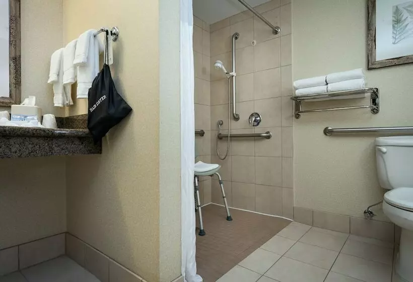 Standard-invahuone, Hilton Garden Inn Seattle Issaquah