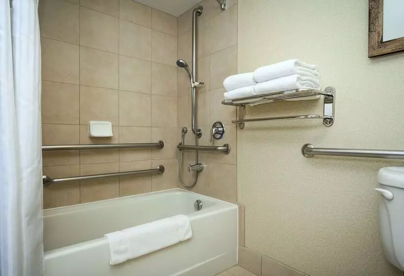 Standard-invahuone, Hilton Garden Inn Seattle Issaquah