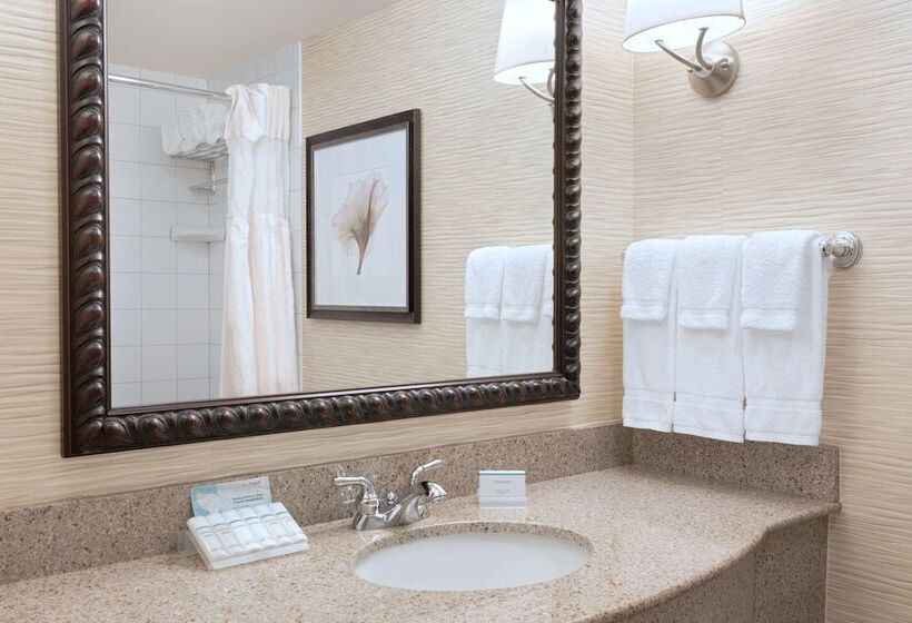 套房, Hilton Garden Inn Tuscaloosa