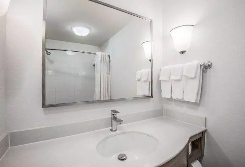 Deluxe-huone Järvinäkymä, Hilton Garden Inn Wichita