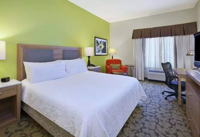 Deluxe-huone Järvinäkymä, Hilton Garden Inn Wichita