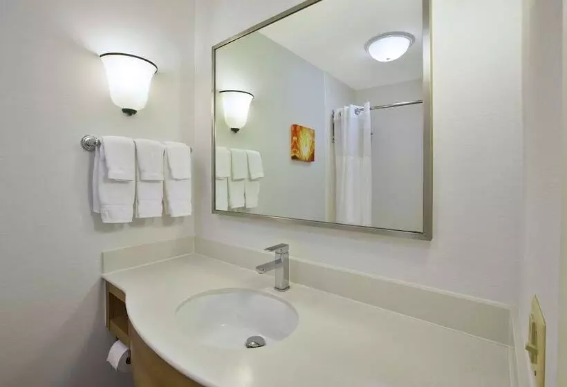 Deluxe-huone Järvinäkymä, Hilton Garden Inn Wichita