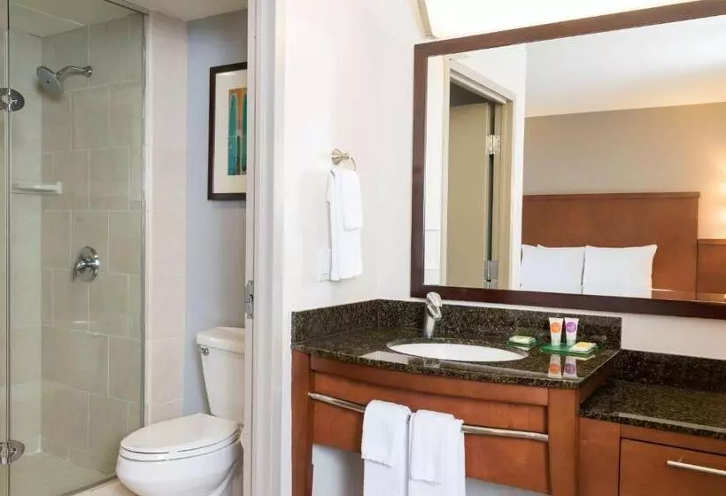 キングサイズベッドのスタンダードルーム, Hyatt Place Sarasota/bradenton