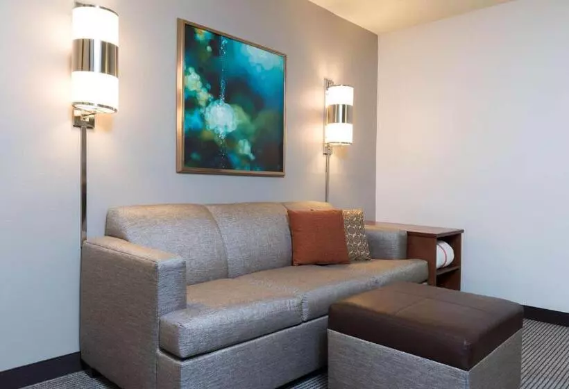 身障者適用キングサイズベッドルーム, Hyatt Place Sarasota/bradenton