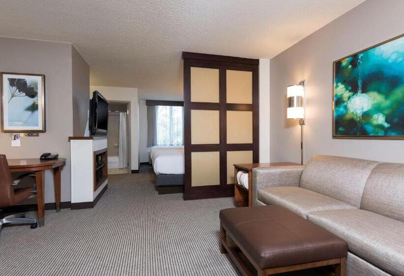 身障者適用キングサイズベッドルーム, Hyatt Place Sarasota/bradenton