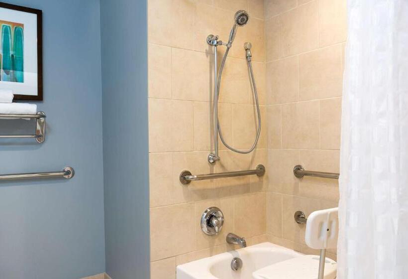 غرفة قياسية سرير كينج لذوى الإحتياجات الخاصة, Hyatt Place Sarasota/bradenton