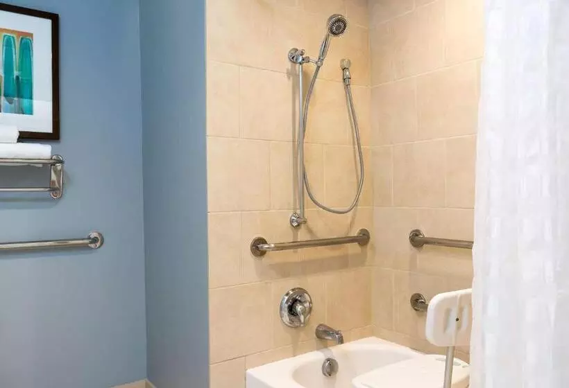 身障者適用キングサイズベッドルーム, Hyatt Place Sarasota/bradenton