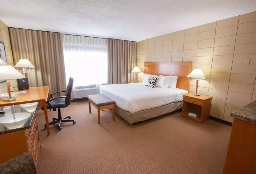 デラックスルーム, Neighbourhood Inn Hotels In Bonnyville