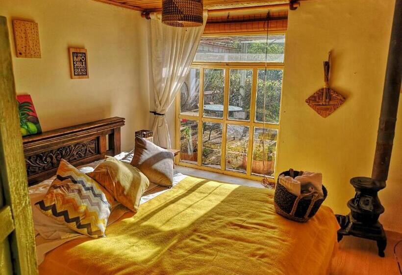 スタンダードルーム, Macani Eco Glam