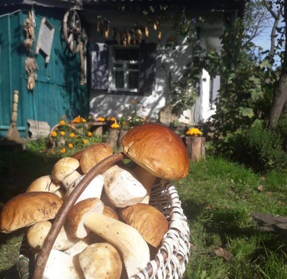 스탠다드 룸, медова садиба